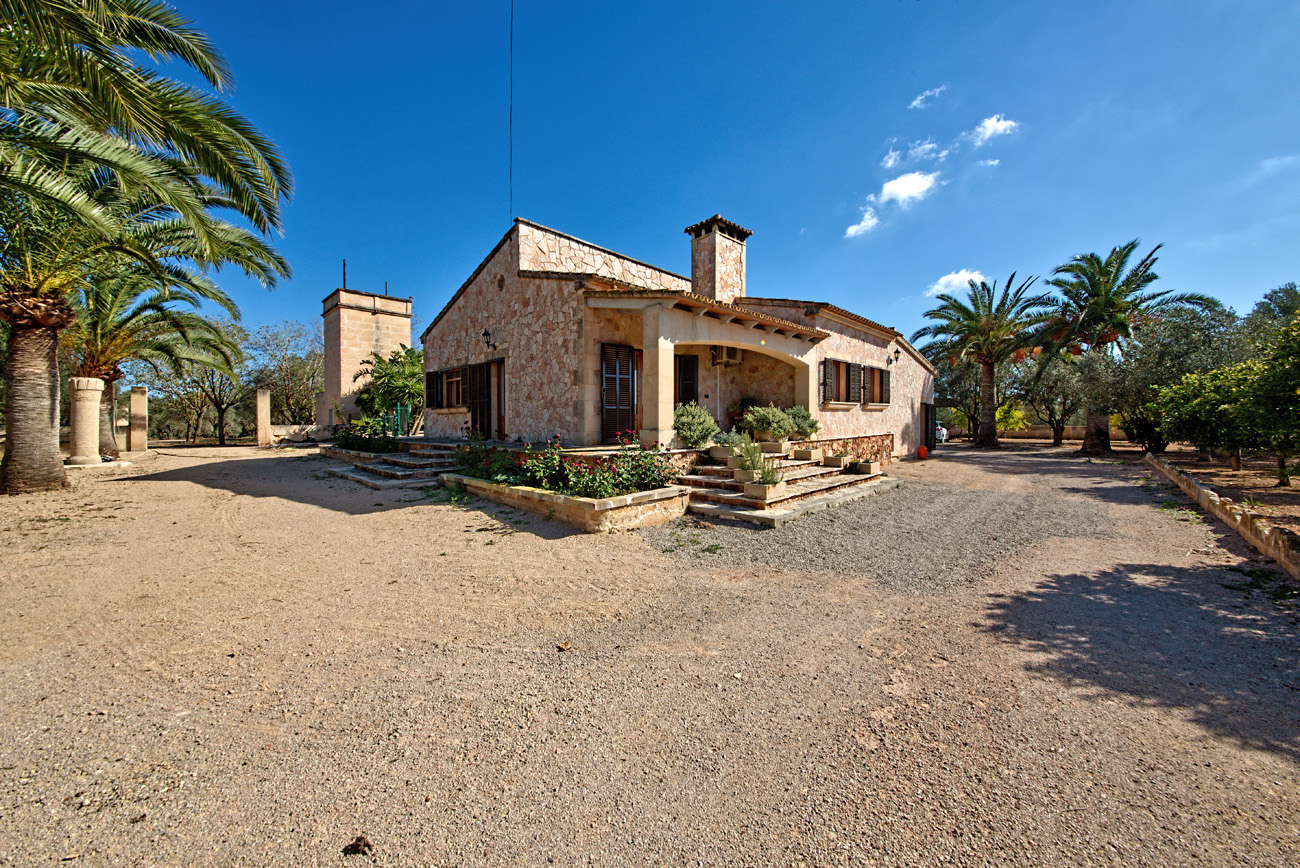 Finca with pool and olive plantation in Campos