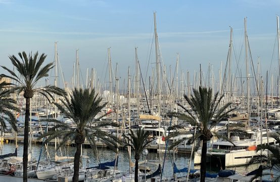 Palma: Moderne Wohnung am Paseo Marítimo